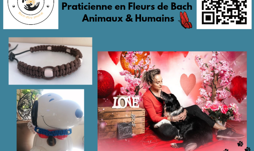 du bien-être pour nous mais aussi pour nos amis à pattes sur le salon bien-être de Reims hippodrome