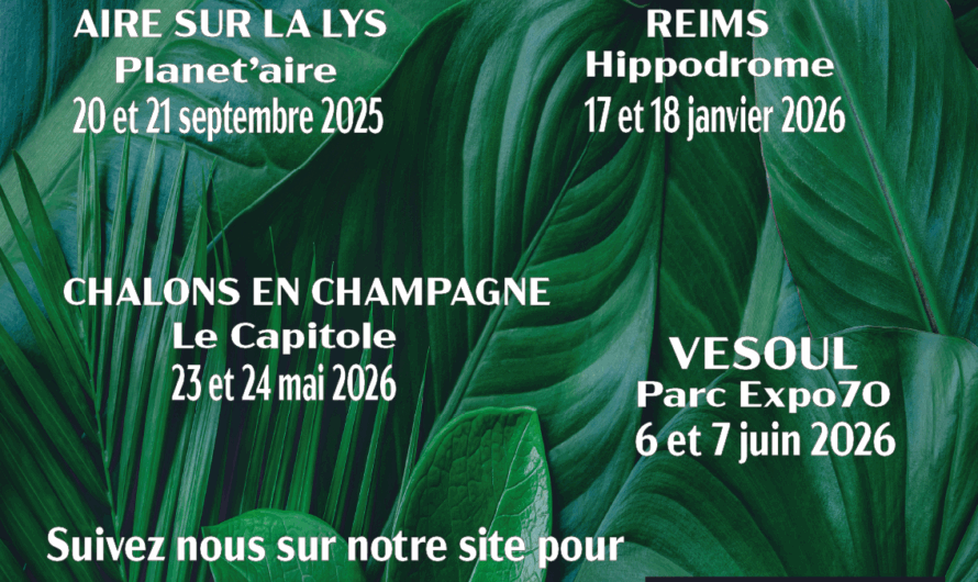 Rejoignez nous dans l’aventure!