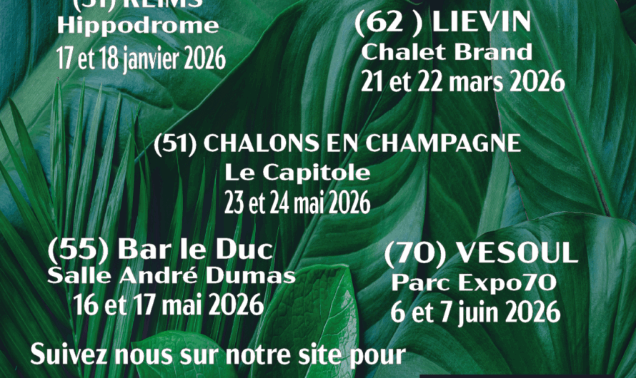 Suivez nous sur nos évènements bien-être 2026 ( d’autres dates à venir)