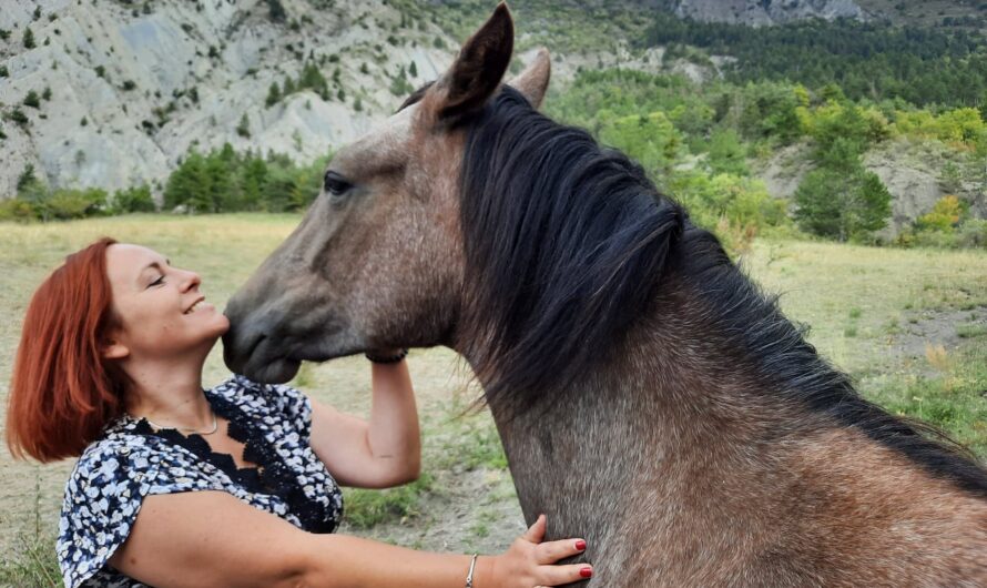Communiquez avec votre animal